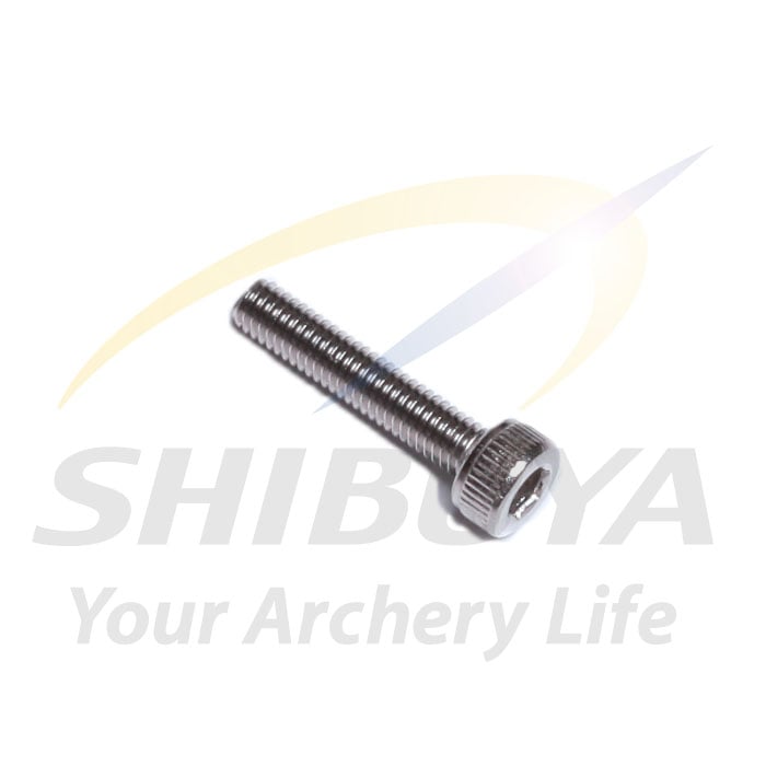 SHIBUYA RX-5 M3×15キャップネジ